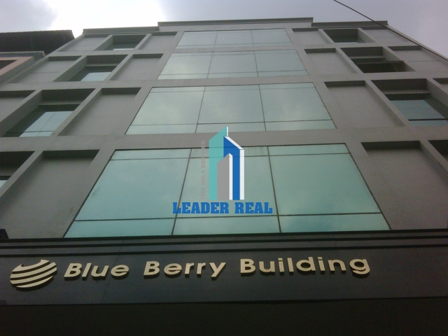 Blue Berry Building
